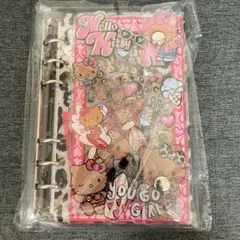 限定1点！ 新品新作！日焼けキティ　A6シャカシャカノート　シャカシャカシール帳