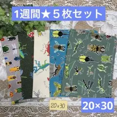 ５枚組★小さめランチョンマット★給食ナフキン★昆虫１週間