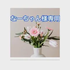 なーちゃん様専用
