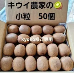 kyoko様ご専用　群馬県産　キウイフルーツ　ヘイワード　小粒　50個