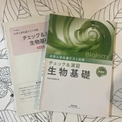 Item thumbnail for item 22efaa9e-6ea3-49a4-9245-4b9f4d86517b