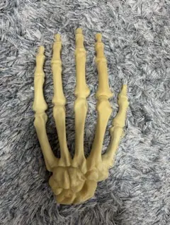 人体模型 上腕　足　大腿骨　脛骨　ボーンモデル 人体模型 上腕 足 大腿骨 脛骨 ボーンモデル - メルカリ