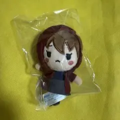 名探偵コナン セガラッキーくじ メモリアルカット G賞 灰原哀 ぬいぐるみ