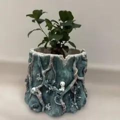 ジブリもののけ姫 植木鉢 鉢のみ 2025年最新】もののけ姫植木鉢の人気アイテム - メルカリ