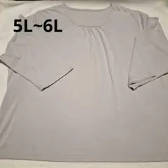 6l