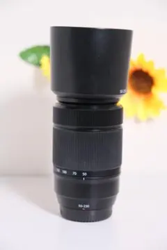 Item thumbnail for item 533149fb-763f-41a0-9029-49b87d9f1717