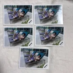 SnowMan 目黒蓮　公式写真