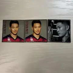 東京グレートベアーズ グレベア ステッカー 谷口渉選手 - メルカリ