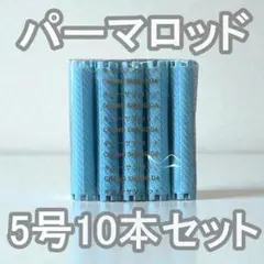 美容師 ロッド 5号 10本 セット パーマ 道具 サロン 美容室 ブルー 青