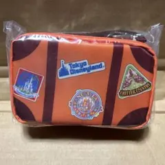ディズニーバケーションパッケージポーチミニタオル付き