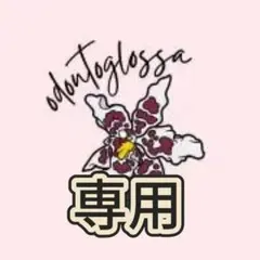 人気No.1 最鏡さぶちゃん3本セット 2026.1リニューアル - メルカリ