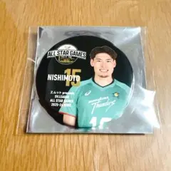 Item thumbnail for item 22edde75-0a05-443b-8d5e-66c20692e954