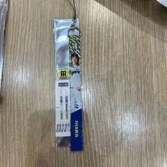 伊原陵人 阪神タイガース シークレットボンフィン 2025