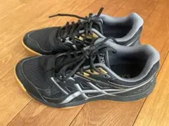 Item thumbnail for item 595b406f-abd9-4046-a586-2ce013061801