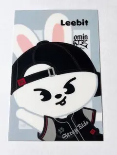 Stray Kids Leebit エコパスタジアム特典