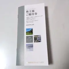 東急不動産ホールディングス優待券