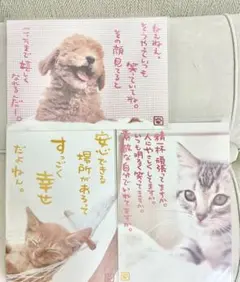 全新 平成懷舊 明信片 三張一組 狗 貓 汪喵