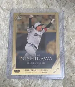 Item thumbnail for item 9c50f5db-a505-404a-98f1-2af3a9b8e9ca