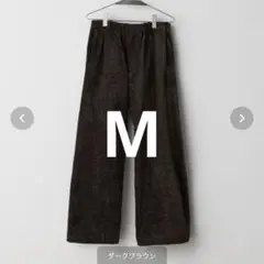 WYM WASHED VELVET CURVE CUT WIDE PANTS M