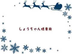 しょうちゃん様 リクエスト 3点 まとめ商品