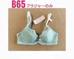 B65 新品 ブラジャー アモスタイル くすみミントグリーン系 ウィッシュブラ