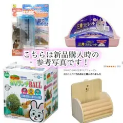 Item thumbnail for item 093ce776-645d-4d86-9cb2-a8090cbf7840