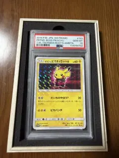 2026年最新】193/SM-P ボスごっこピカチュウ マグマ団の人気アイテム