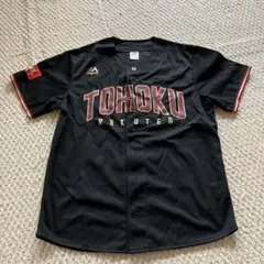 Item thumbnail for item 3e9dc6fe-d8dd-44d9-9a4e-ba4098fc6648