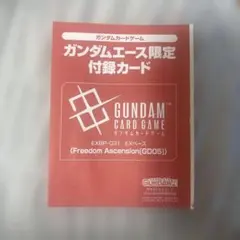 Gundam Ace EX Base EXBP-031 Promo Card - メルカリ