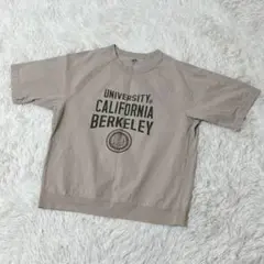 【c5198】UNIQLO UT Tシャツ 半袖　ブラウン　メンズ