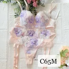 【新品】wacoal サルート　30 ブラ　ソング ガーター　C65M PI