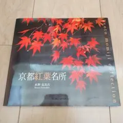 Item thumbnail for item dfc6145a-a319-4482-b1bf-3e09efe68fdc