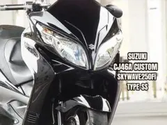 CJ46A■スカイウェイブ250FiタイプSS■カスタム■rossoマフラーのサムネイル