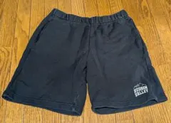 ユニクロ HUDSON VALLEY ハーフパンツ