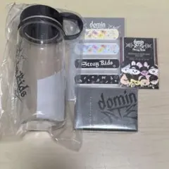 Stray Kids domin ATE JAPAN エコパスタジアム　アプグレ