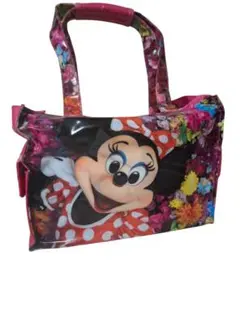 ディズニーリゾート イマジニングザマジック ミニー カメラバッグ 旧フェイス