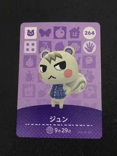 ジュン　あつ森　アミーボカード　264