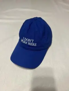 IDEA BOOKS CAP I DON'T WORK HERE