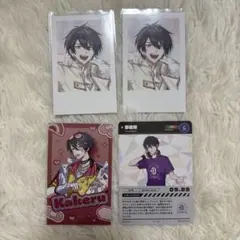 にじさんじ 夢追翔 チェキ