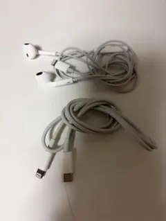 【美品】Apple純正Lightningイヤフォン&USB-Cケーブルセット