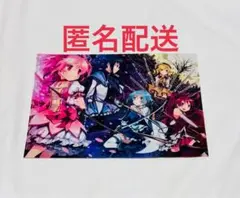 【非売品】魔法少女まどか☆マギカ ゲーマーズ 特典 クリアファイル