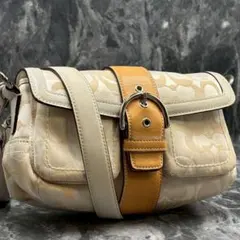 Item thumbnail for item 2fa72bb1-2912-4ae1-ba55-d1aee34b701b