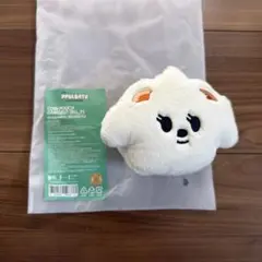 TXT プルバトゥ バムグッ コインポーチ ボムギュ