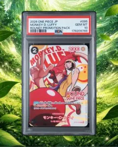 PSA10 モンキー・D・ルフィ ラウンドワン プロモ 원피스 카드