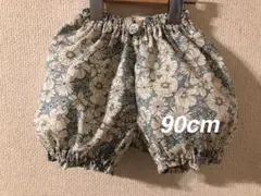 Item thumbnail for item 7418a5a6-7fcc-4820-9d93-23208d175cf3