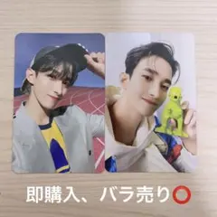 ブソクスン　ドギョム　トレカ