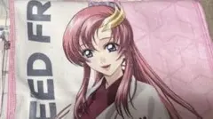 ガンダムSEED FREEDOM 極楽湯 ラクス