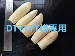 マッコウ鯨歯 本物 詰まってる歯！ 美品6本320グラム - メルカリ