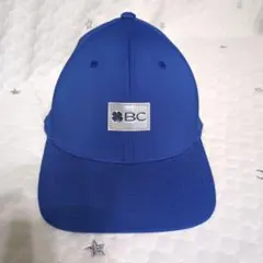 Item thumbnail for item 01b8e984-a64a-4ecd-ad2a-c21ce062a0be