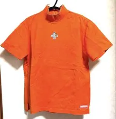 Item thumbnail for item 949a30d8-c6cd-4180-a85f-4ea4b328766e